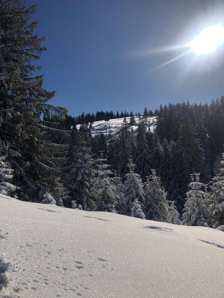 Casa Bondia Villa Paraul Rece Exteriör bild